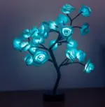 HomoraFairyRose5