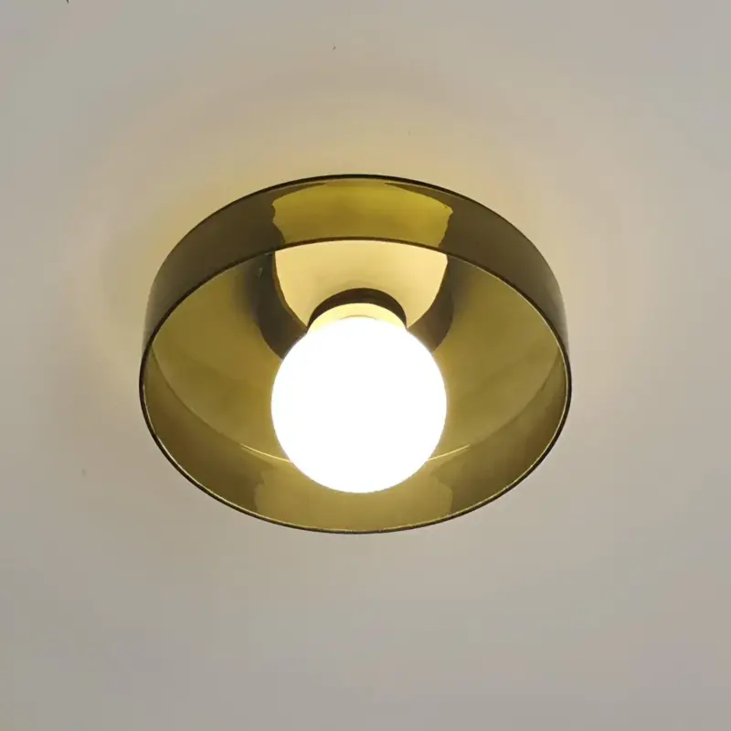 HomoraGlassyBeam17