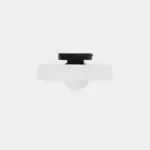 HomoraGlassyBeam7