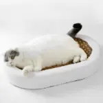 HomoraGripGuard2