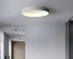 HomoraHaloShine2 HomoraHaloShine2