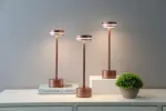 HomoraHantelLEDTouchLampe10
