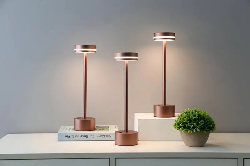 HomoraHantelLEDTouchLampe10
