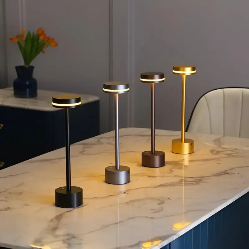 HomoraHantelLEDTouchLampe17