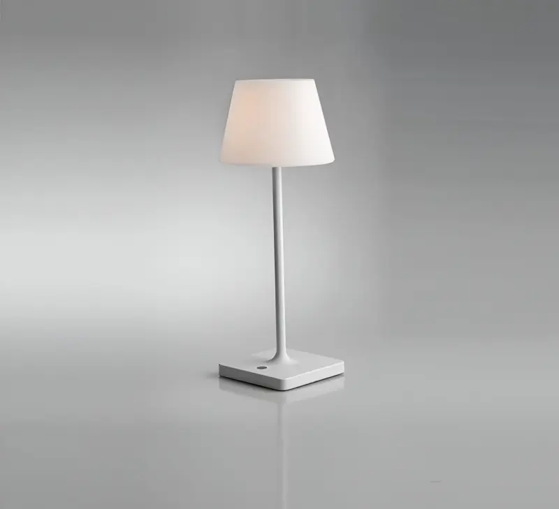 HomoraLightFlex10
