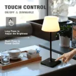 HomoraLightFlexTischleuchte5