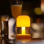 HomoraLil SunsetNightLight3