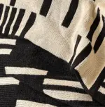 HomoraNeutralDashPlaid3 HomoraNeutralDashPlaid3