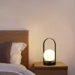 HomoraOrbitaLED10