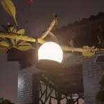 HomoraOrbitaLED7