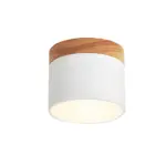 HomoraPastelGlow13 HomoraPastelGlow13