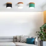HomoraPastelGlow15 HomoraPastelGlow15