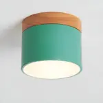 HomoraPastelGlow17 HomoraPastelGlow17