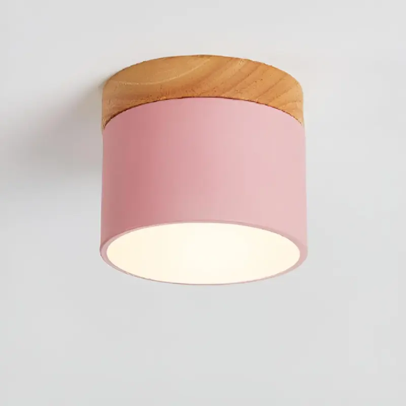 HomoraPastelGlow20