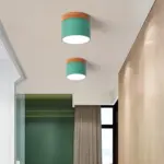 HomoraPastelGlow21 HomoraPastelGlow21