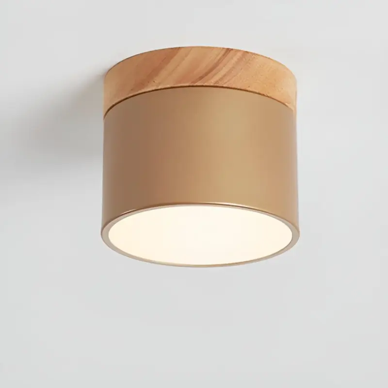 HomoraPastelGlow29