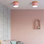 HomoraPastelGlow4 HomoraPastelGlow4