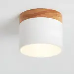 HomoraPastelGlow6 HomoraPastelGlow6