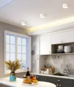 HomoraPastelGlow8 HomoraPastelGlow8