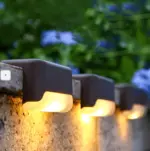 HomoraPathStepLights5
