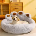 HomoraPawNest8