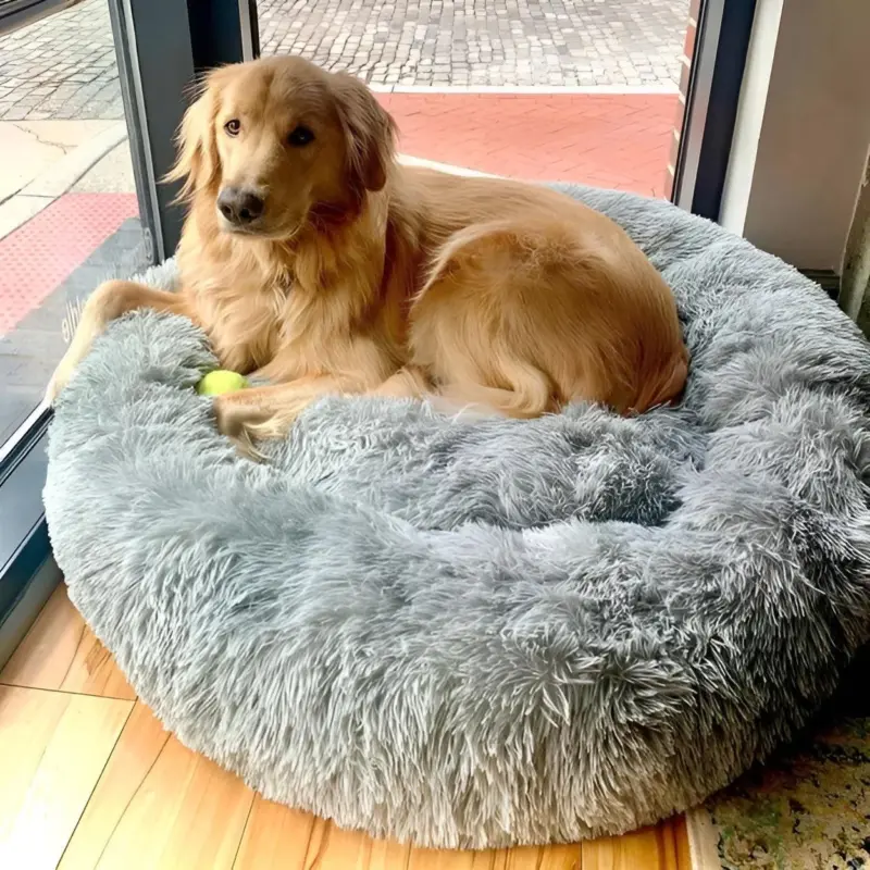 HomoraPawsBed10