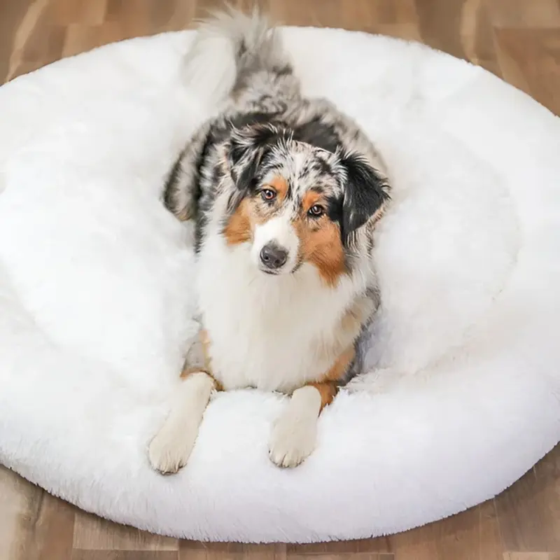 HomoraPawsBed3
