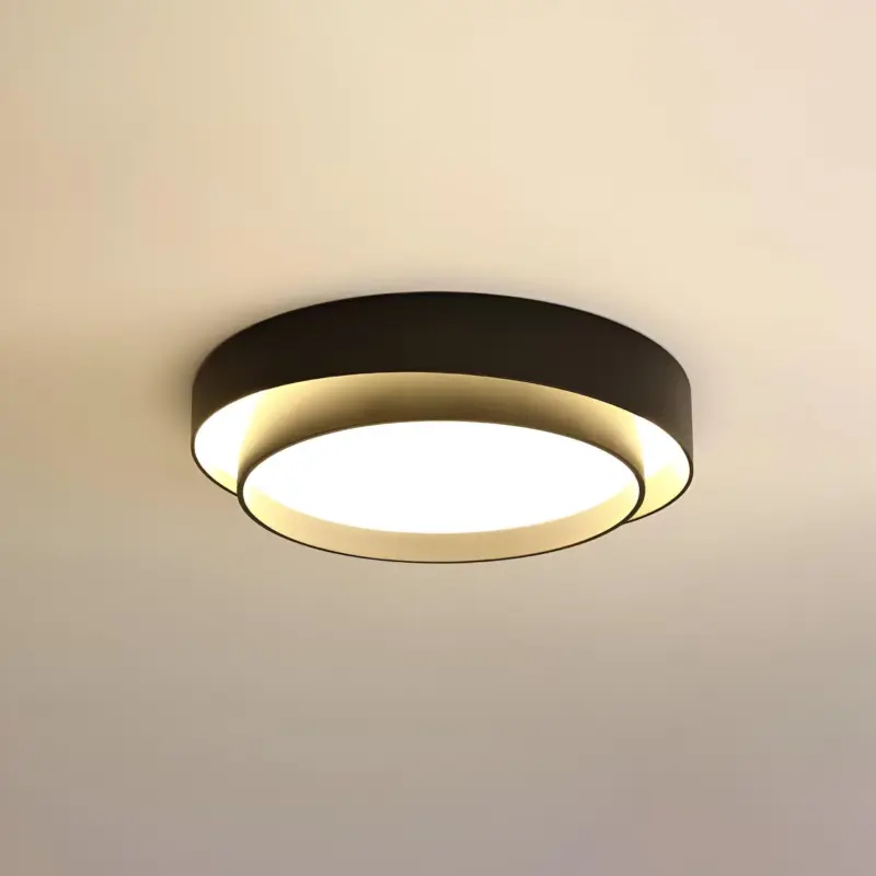 HomoraRingLit2