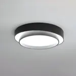 HomoraRingLit22