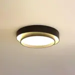 HomoraRingLit33