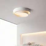 HomoraRingLit4