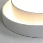 HomoraRingLit5