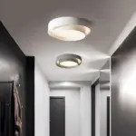 HomoraRingLit6