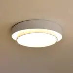 HomoraRingLit8