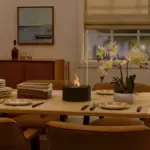 HomoraSleekFlame5
