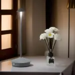 HomoraSmartVersaLight4