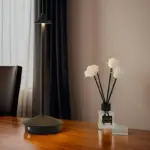 HomoraSmartVersaLight6