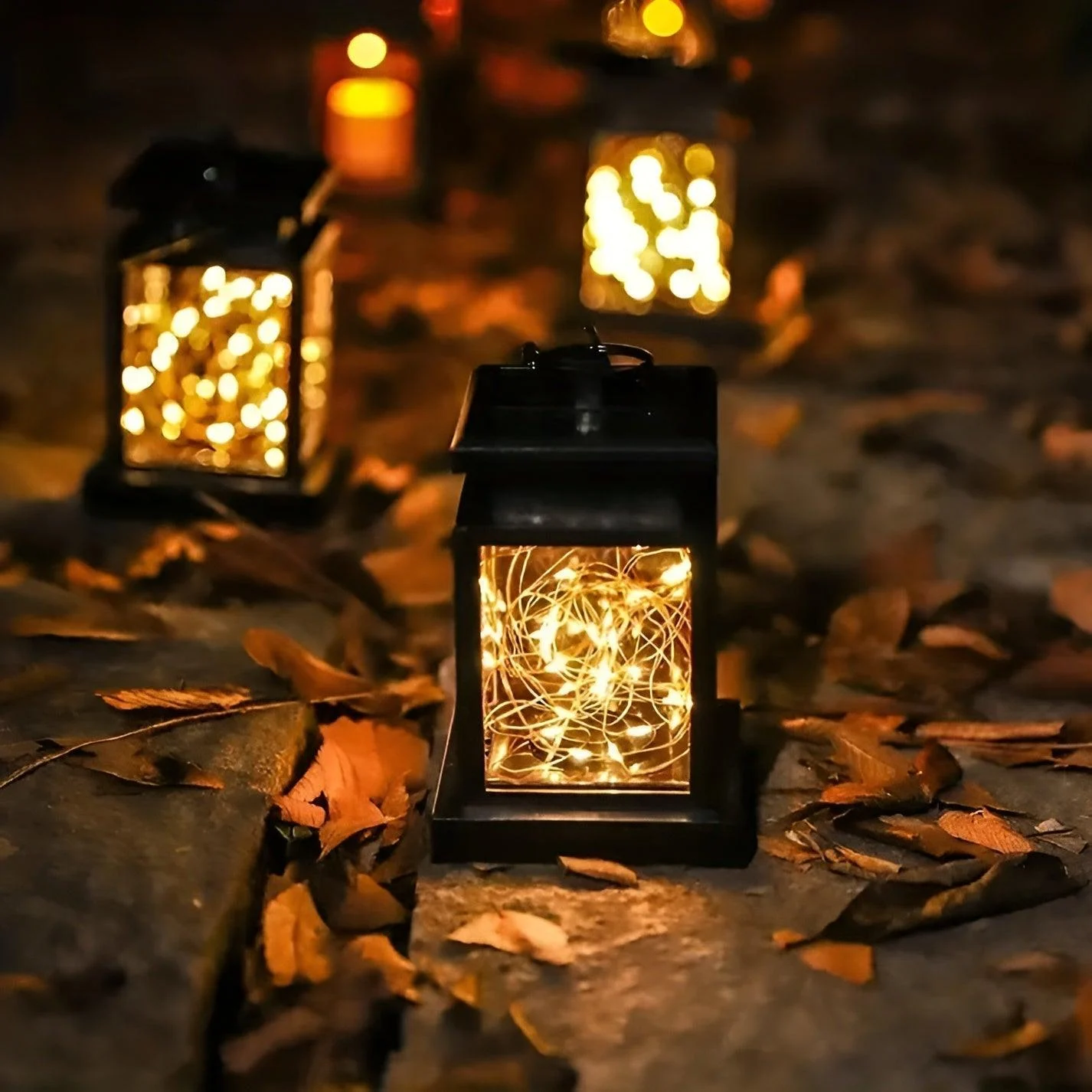 Homorasollantern5