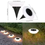 HomoraSolaris