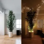 HomoraSpotMasterLEDDuo8