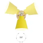 HomoraSwivelShine2