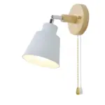 HomoraSwivelShine4