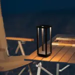HomoraVerticaBeam7