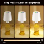 HomoraVinoLightTischLampe7