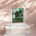 HomoraVividAcryl12 HomoraVividAcryl12