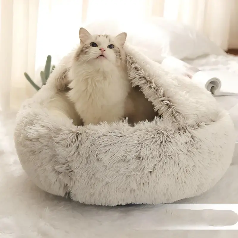 HomoraWarmPaws2 HomoraWarmPaws2