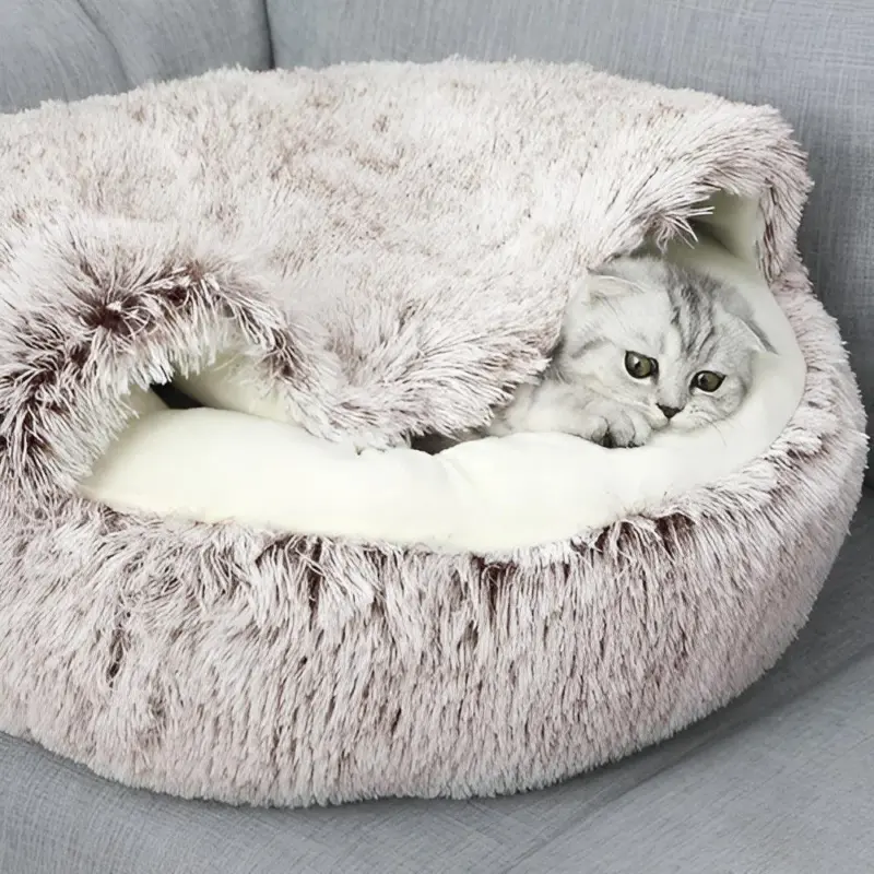 HomoraWarmPaws6
