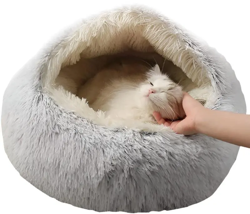 HomoraWarmPaws8