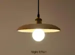 HomoraWooDiskPendelleuchte16 HomoraWooDiskPendelleuchte16