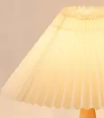 HomoraZipLuxe1